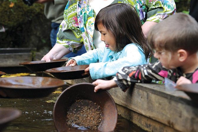 skagway-shore-excursion-liarsville-gold-rush-camp-gold-panning-and-salmon-bake-combo