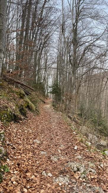 Skakavac Waterfall Hike: Explore Nature Near Sarajevo - Key Points 