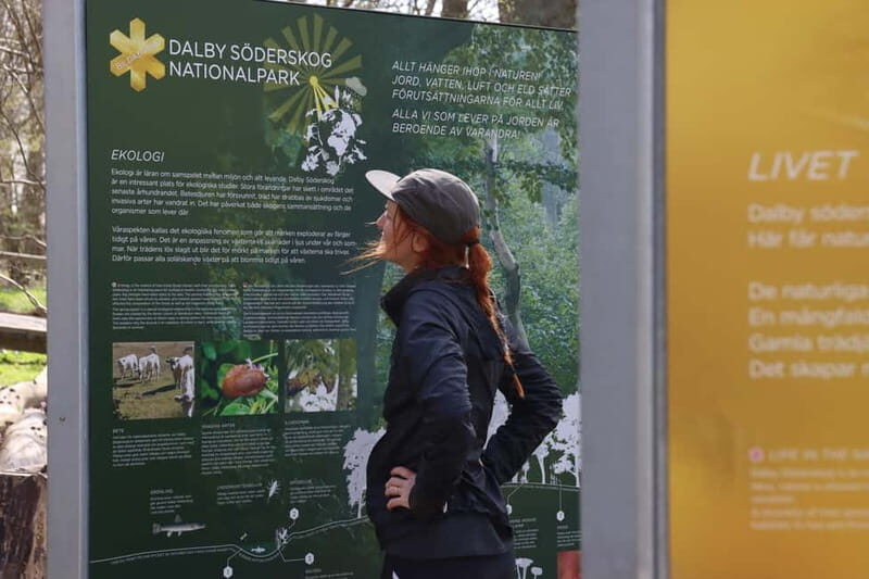 Skåne: guided hike in national park incl lunch close to Lund - Discover the Charm of Skåne with a Guided Hike Near Lund