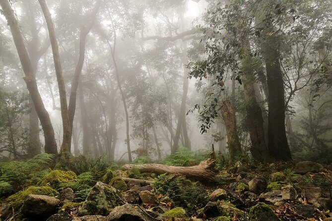 Skeleton Gorge Hike up Table Mountain - Key Points