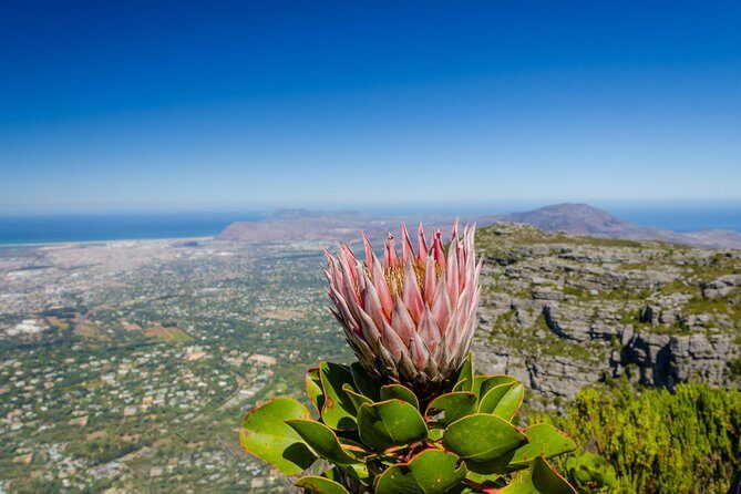 Skeleton Gorge to Table Mountain summit - Key Points