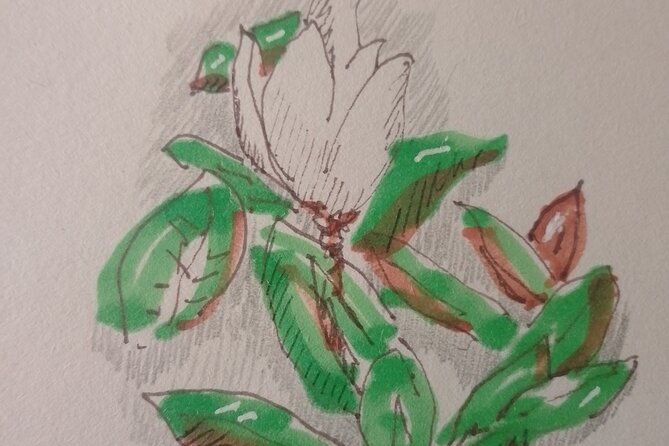 sketching-in-rome-villa-borghese-private-lesson-with-guido