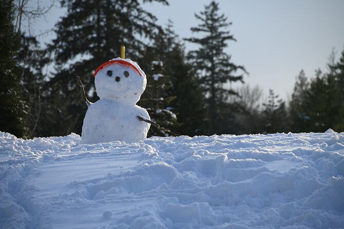 ski-snow-tour-to-bakuriani-from-kutaisi-with-borjomi-stop