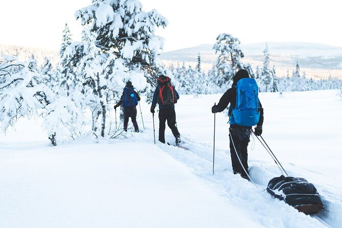 ski-touring-and-winter-fun-in-fulufjallet-mountain-plateau