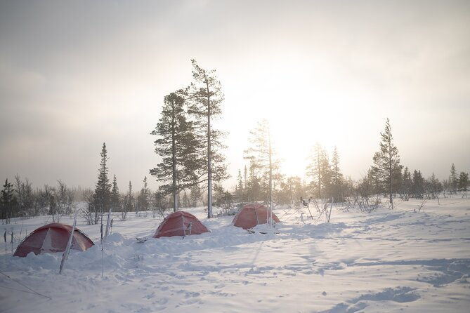 ski-touring-and-winter-fun-in-fulufjallet-mountain-plateau
