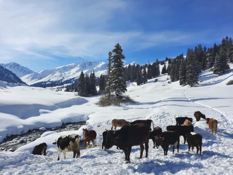 Ski touring in Kyrgyzstan at Jyrgalan Valley - Key takeaways