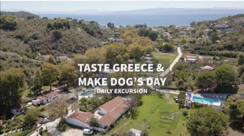 skiathos-dog-shelter-visit-hike-cooking-class-with-lunch