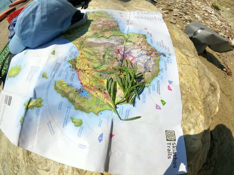 Skiathos: Guided Sea Kayaking Tour with Swim Stop - Practical Information and Final Thoughts