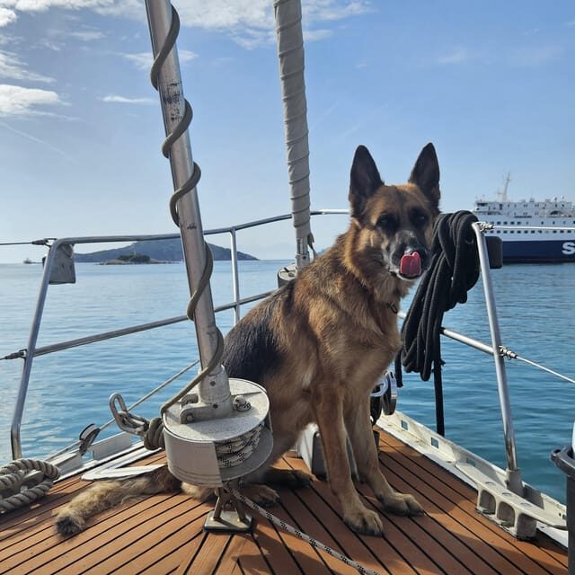 Skiathos private tours :Sailing day with lunch on board, - Who Will Love This Tour?