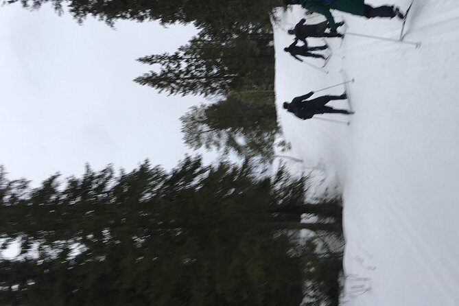 Skiing in winter wonderland - Frequently Asked Questions