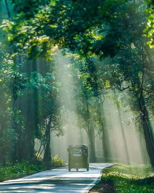 Skip Climbing Sigiriya Lions Rock  Relaxing Tuk Tuk Safari - Why You’ll Love the Sigiriya Tuk Tuk Safari
