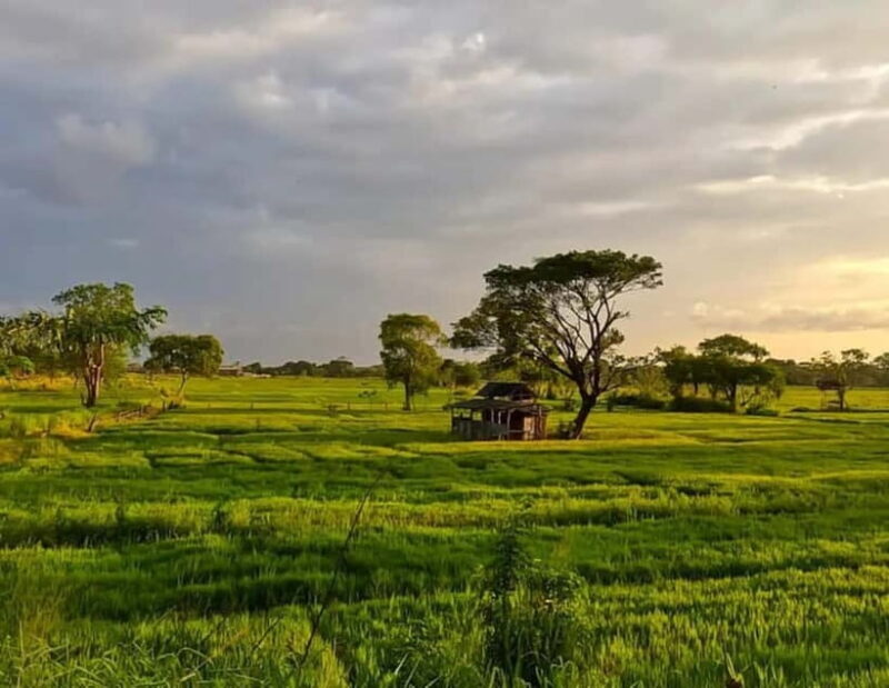 Skip Climbing Sigiriya Lions Rock  Relaxing Tuk Tuk Safari - Final Thoughts