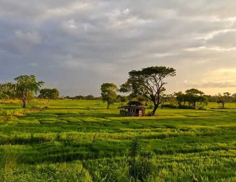 Skip Climbing Sigiriya Lions Rock  Relaxing Tuk Tuk Safari - FAQ