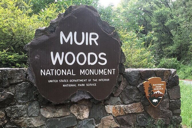 skip-the-bus-muir-woods-sausalito-by-minivan-2