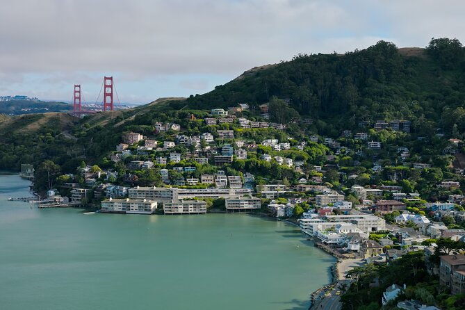 skip-the-bus-muir-woods-sausalito-by-minivan-2