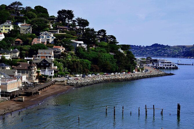 skip-the-bus-muir-woods-sausalito-by-minivan