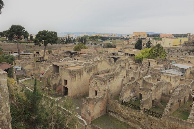skip-the-line-ancient-herculaneum-walking-tour-with-top-rated-guide