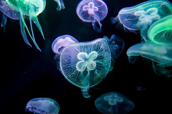 skip-the-line-antalya-aquarium-ticket