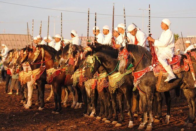 Skip The Line At Chez Ali Marrakech Fantasia Show - Practical Tips