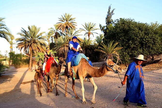 Skip the line at : Majorelle Garden and Palm Garden. - Value and Practicality
