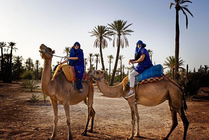 Skip the line at : Majorelle Garden and Palm Garden. - FAQs