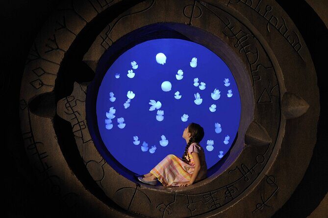Skip The Line : Atlantis Lost Chambers Aquarium - Discovering Dubai’s Atlantis Lost Chambers Aquarium: A Practical Review