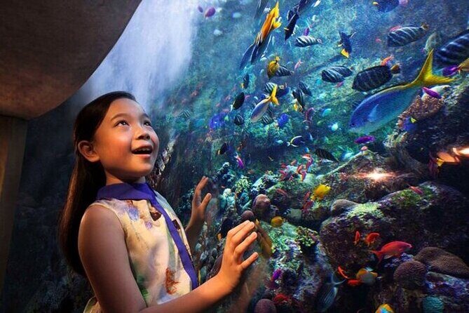 Skip The Line : Atlantis Lost Chambers Aquarium - An In-Depth Look at the Atlantis Lost Chambers Aquarium Tour