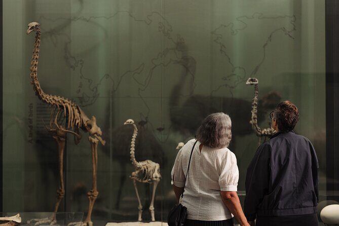 Skip the Line: Auckland Museum General Admission Ticket - Practical Details and Tips