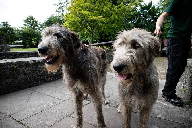 skip-the-line-bunratty-castle-and-folk-park-admission-ticket