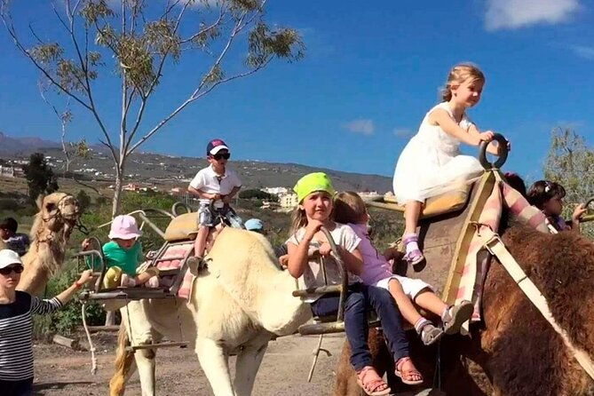 skip-the-line-camel-park-tenerife-ticket