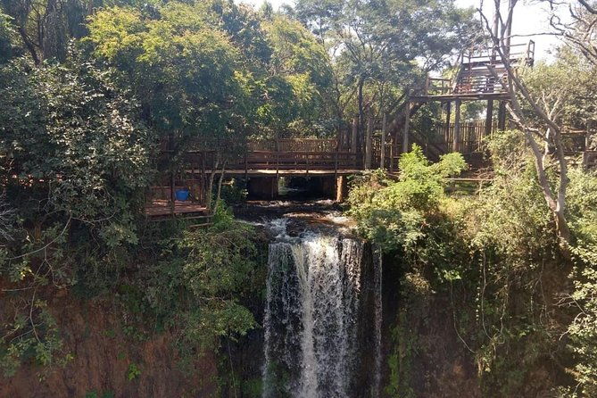 skip-the-line-cassorova-eco-park-admission-ticket