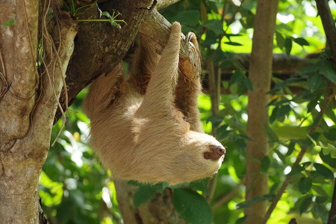 skip-the-line-diamante-eco-adventure-park-animal-sanctuary-discovery-ticket