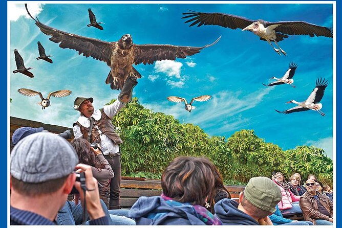 skip-the-line-falconeria-locarno-ticket