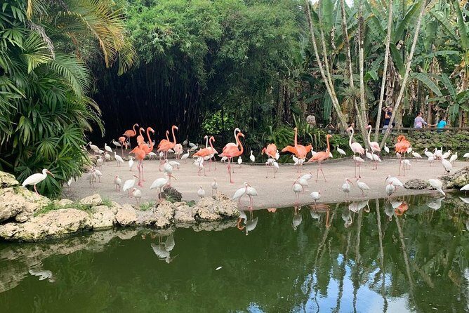 Skip the Line: Flamingo Gardens Admission Ticket in Fort Lauderdale - The Overall Experience