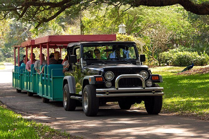Skip the Line: Flamingo Gardens Admission Ticket in Fort Lauderdale - Practical Details and Tips