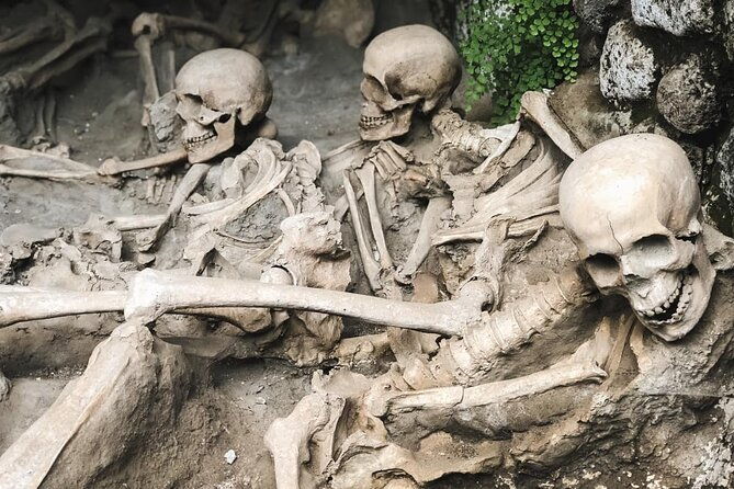 skip-the-line-herculaneum-guided-tour-from-sorrento