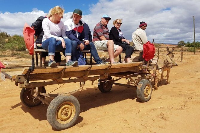 Skip the Line: Highgate Ostrich Farm Tour Ticket - Concluding Remarks