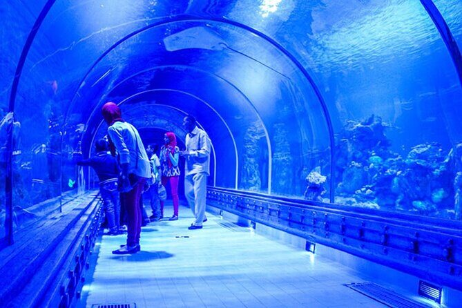 Skip the Line Hurghada Grand Aquarium transfer & entrance - FAQ