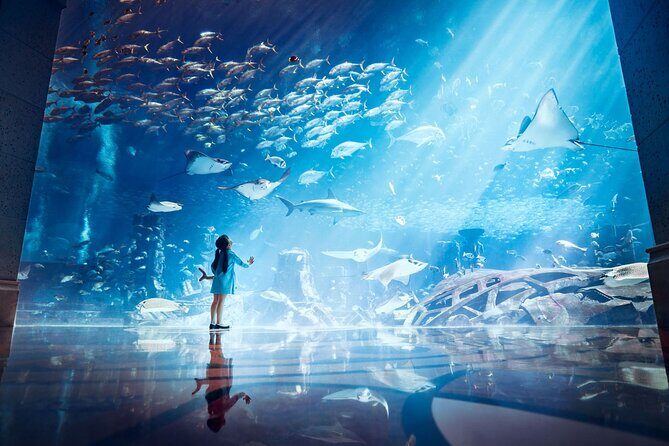 Skip the Line: Lost Chambers Entry at Atlantis The Palm Ticket - A Deep Dive into the Experience at Atlantis The Palm