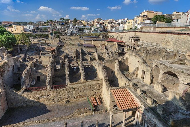 skip-the-line-private-pompeii-herculaneum-tour-with-local-guide