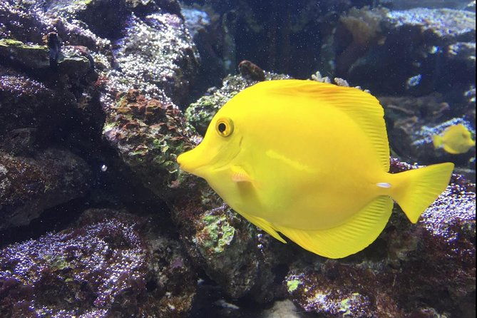 skip-the-line-santa-marta-marine-world-aquarium-admission-ticket-and-guide