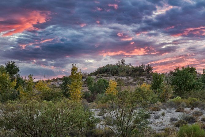 skip-the-line-springs-preserve-in-las-vegas-admission-ticket
