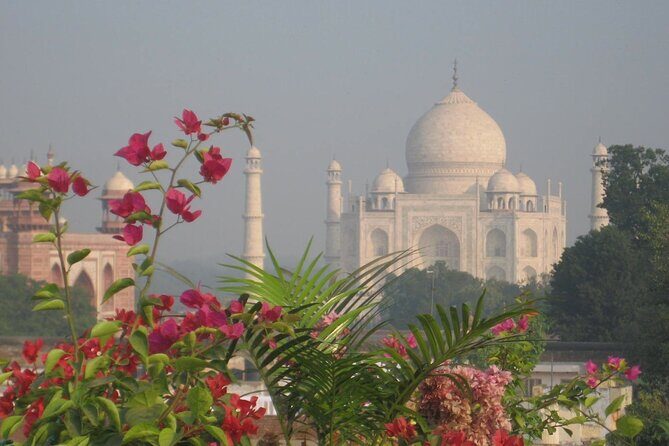 Skip-the-Line Taj Mahal Red Fort &Baby Taj Tour from Delhi by Car - Luxurious Lunch