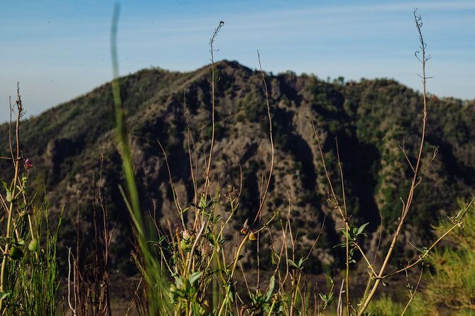 skip-the-line-ticket-for-mount-vesuvius