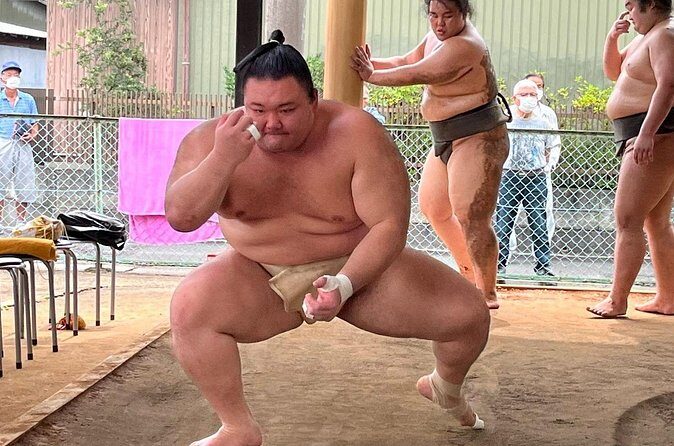 Skip the Line Ticket to Sumo Morning Practice at Nagoya - FAQ