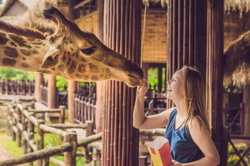 Skip-the-line Tickets to Bronx Zoo with Private Transfers - What to Expect at the Bronx Zoo  