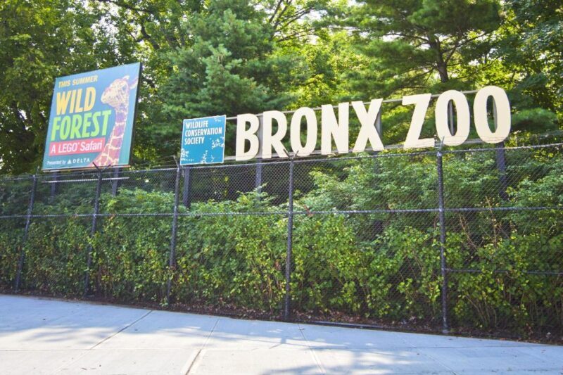 Skip-the-line Tickets to Bronx Zoo with Private Transfers - Cost & Value Analysis  