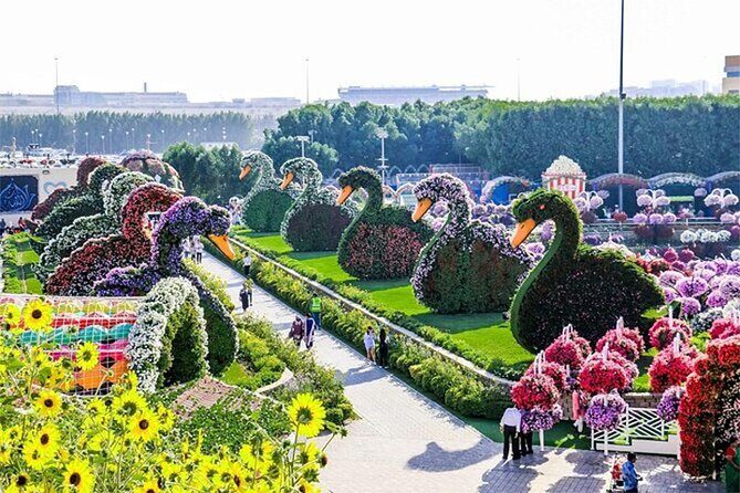 Skip The Line to Dubai Miracle Garden Entry Ticket - A Closer Look at Dubai Miracle Garden