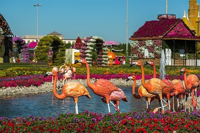 Skip The Line to Dubai Miracle Garden Entry Ticket - Who Will Enjoy This Tour?