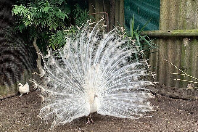 Skip the Line: World of Birds Admission Ticket - Authentic Visitor Insights